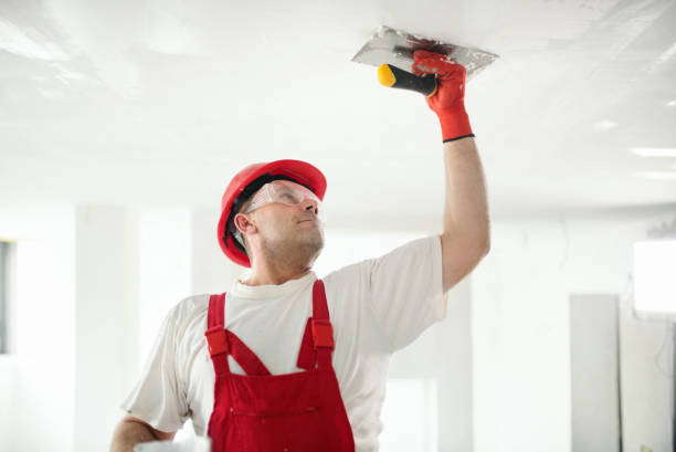 Best Exterior Painting  in Orange Cove, CA