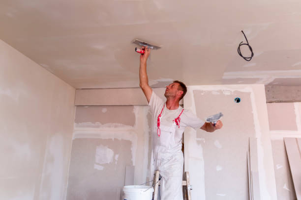 Best Cabinet Painting and Refinishing  in Orange Cove, CA